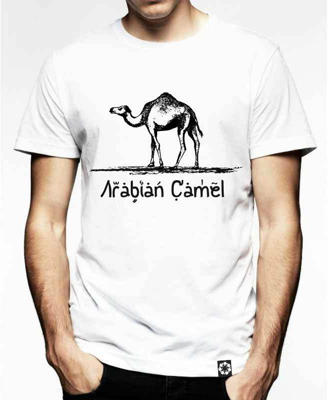 Arabian Camel