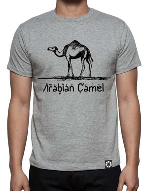 Arabian Camel